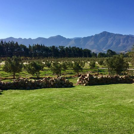 Olive Cottage Franschhoek Bagian luar foto