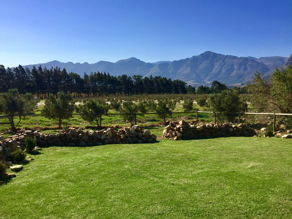 Olive Cottage Franschhoek Bagian luar foto